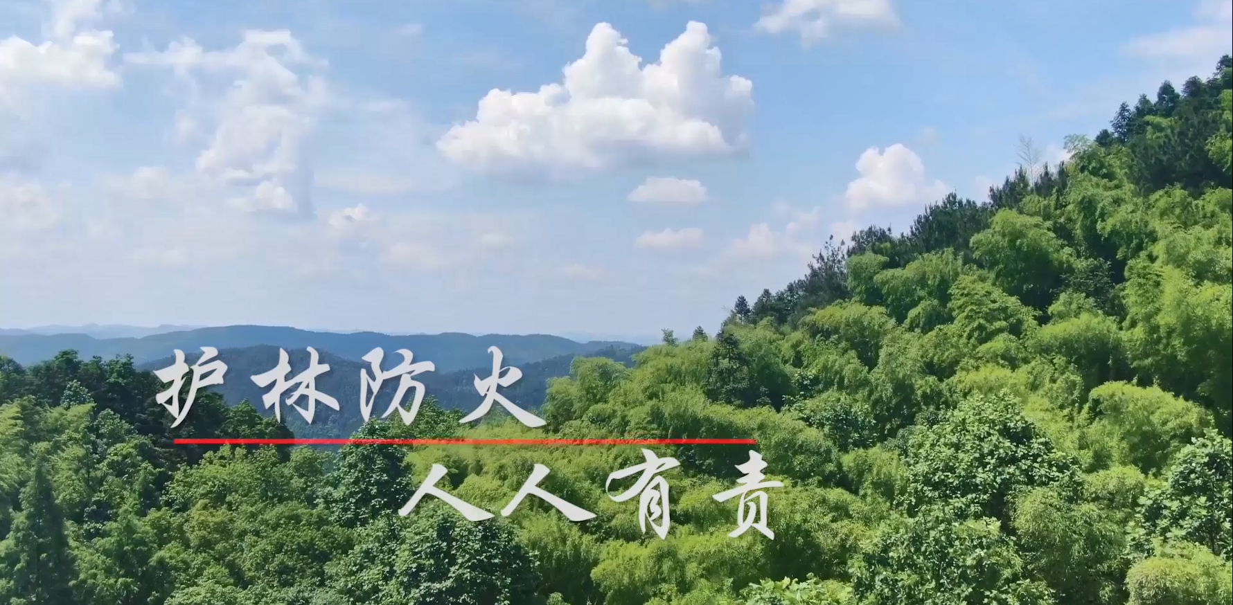 森林防火 人人有责