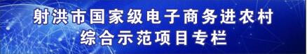 射洪市国家级电子商务进农村综合示范项目专栏（归档）